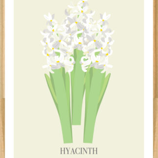 Hyacinth poster in oak frame