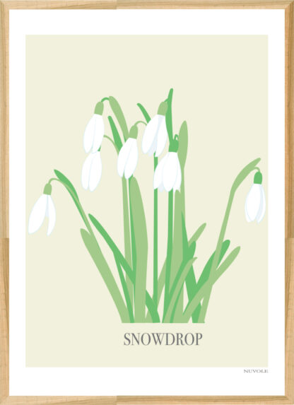 Snowdrop art poster in oak framer